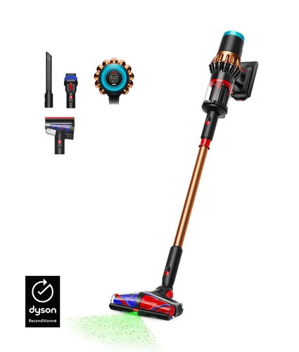 Dyson v16 piston - v16, animal